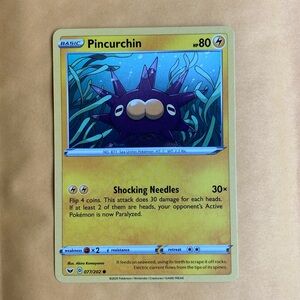⚡️Pincurchin⚡️ lvl 80